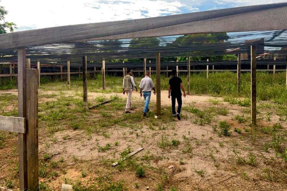 Projeto executado com apoio da Sedam vence Prêmio Juízo Verde do Conselho Nacional de Justiça