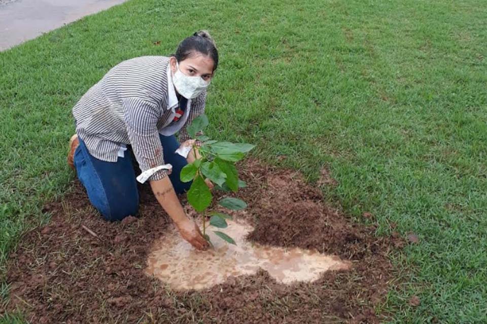 Secretaria de Meio de Ambiente do município inicia segunda etapa do Projeto Colorir