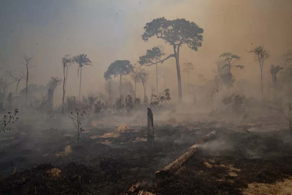 TCU propõe ferramenta para acompanhar ações mundiais contra mudanças climáticas