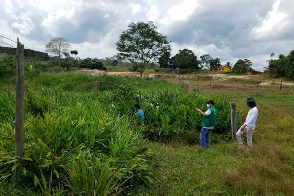 Sedam desenvolve trabalhos para controle efetivo do desmatamento em Rondônia