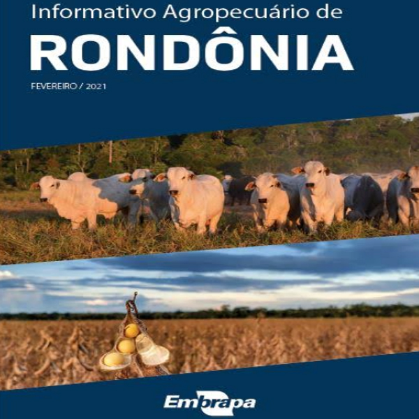 Grãos, café e pecuária são destaques da 1ª edição do Informativo Agropecuário de Rondônia de 2021