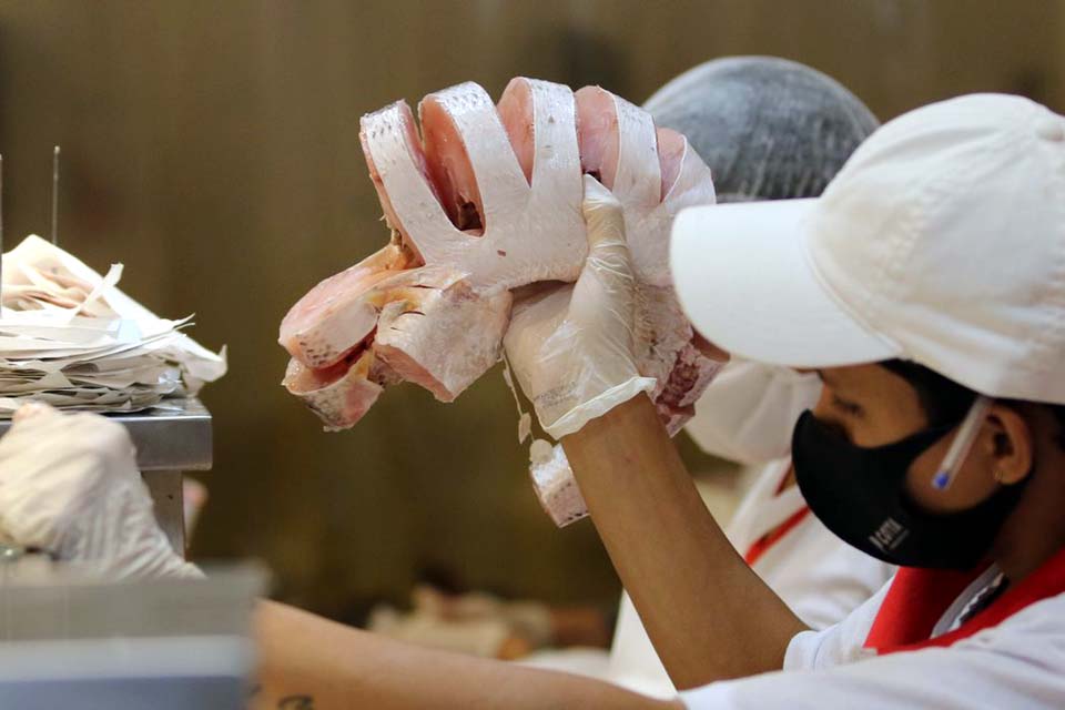 Além de tradição, pescado é opção econômica para a Semana Santa