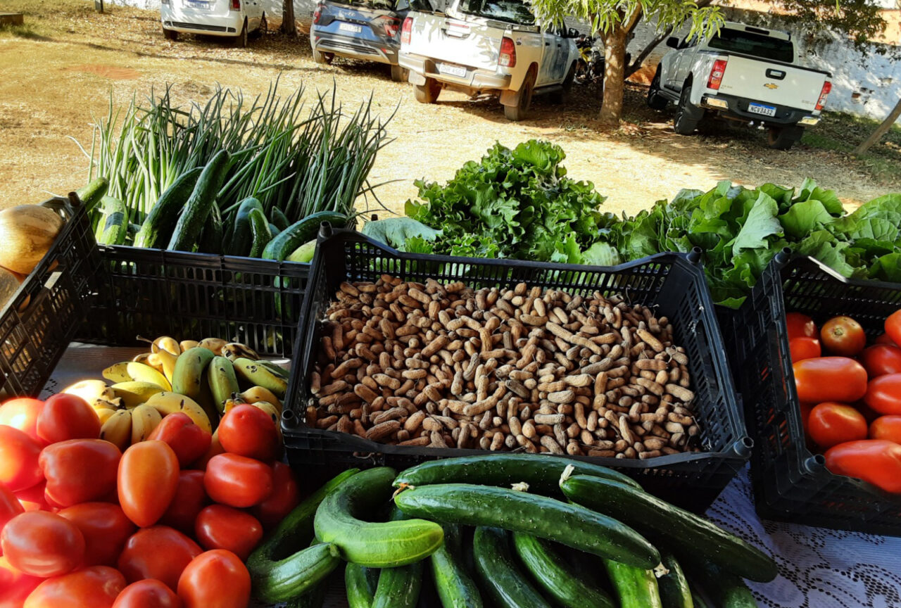 Programa de Aquisição de Alimentos do governo de RO beneficia agricultores familiares, na região do Cone Sul