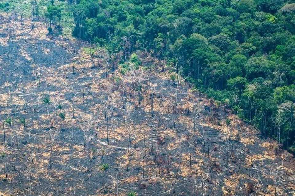 Rondônia está entre os estados mais degradados da Amazônia em setembro de 2024