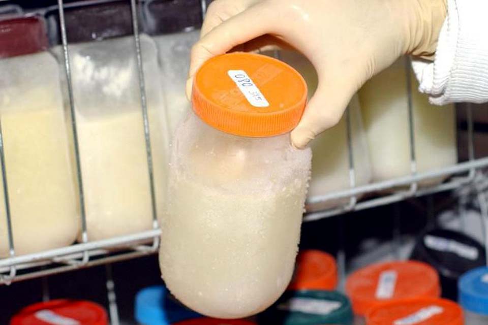 Doação de leite humano só atende metade da demanda no Brasil