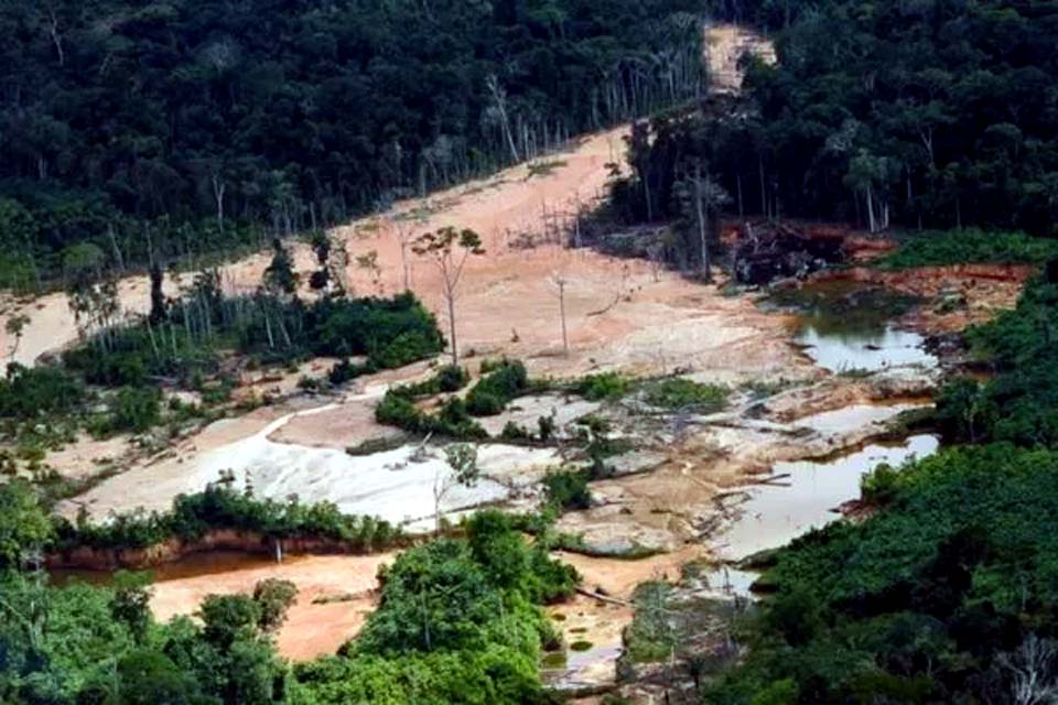 MPF já denunciou 79 pessoas por crimes em Terra Yanomami em 2023