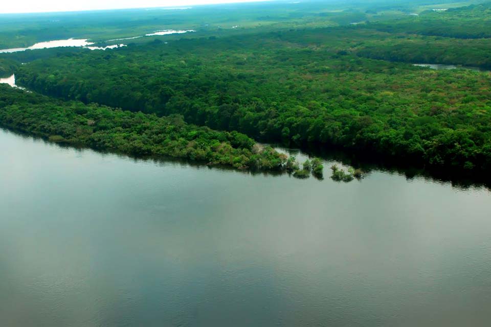 Apenas 7% dos rios da Mata Atlântica apresentam água de boa qualidade