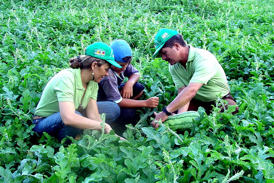 Parceria entre Governo de Rondônia e instituição financeira estimula crédito rural e fortalece o agronegócio