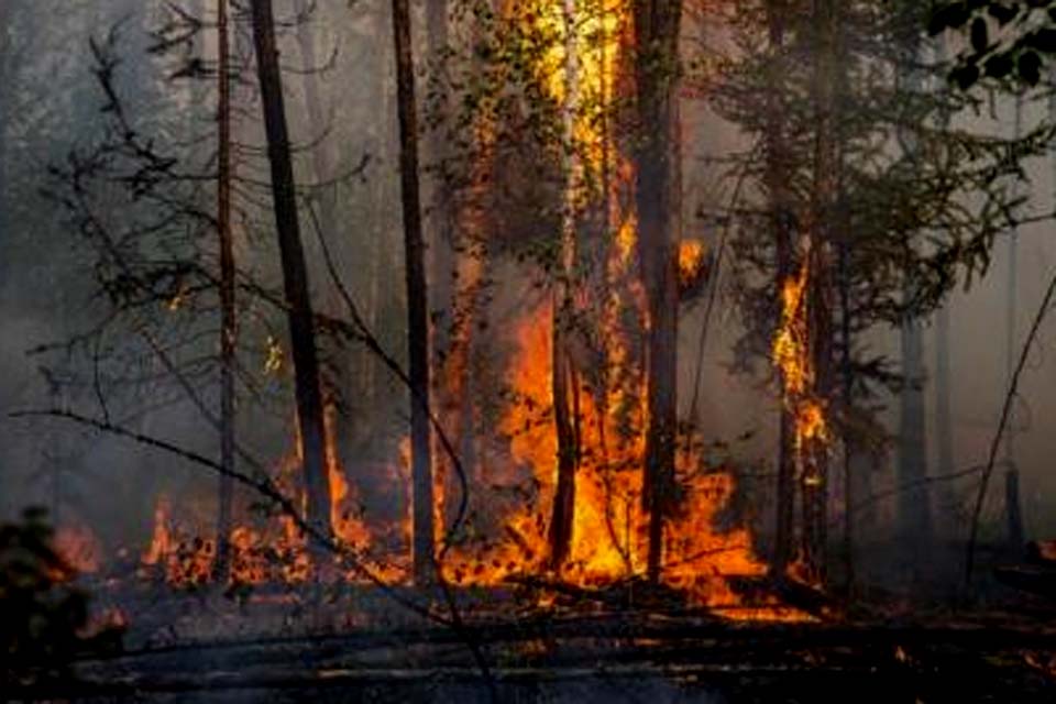 Grécia começa a avaliar danos após semana de incêndios devastadores