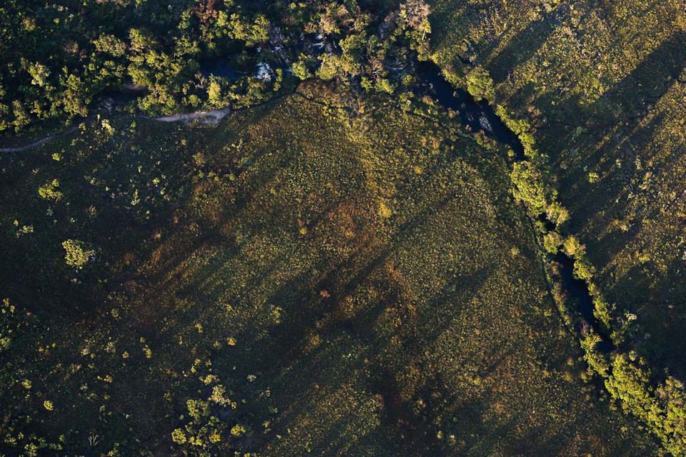 Desmatamento do Cerrado ameaça segurança hídrica de todo o Brasil