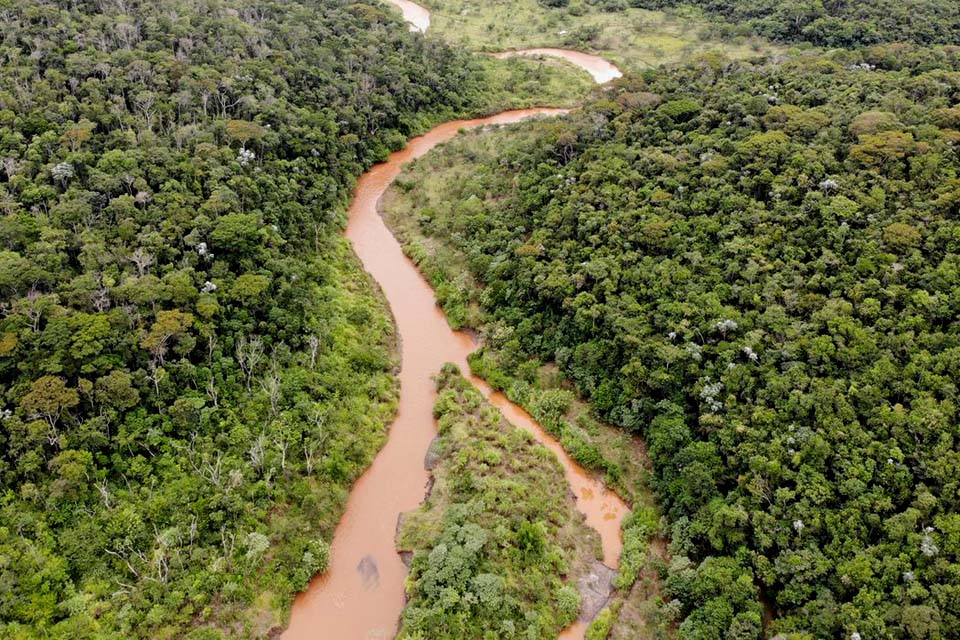 Fundação Renova restaura áreas atingidas por rompimento de barragem