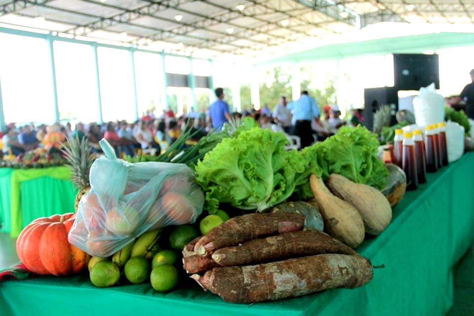 Profissionais da área da agronomia garantem qualidade e produção agrícola em Rondônia