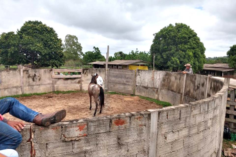 SEMAGRI em parceria com SENAR realizam curso de doma de equinos na zona rural de Rolim de Moura