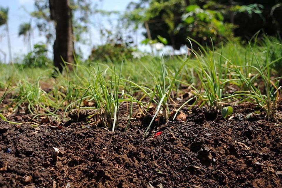 Associação Rondoniense de Município-AROM informa que o envio de laudo do Valor da Terra Nua é prorrogado