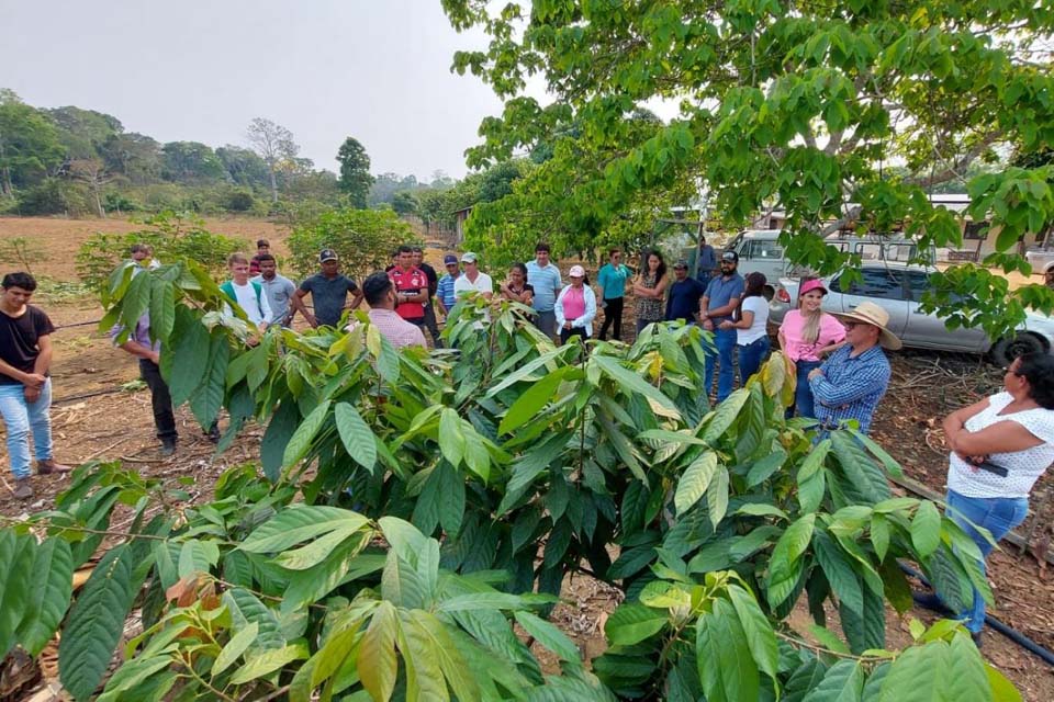 Prefeitura realiza Dia de Campo voltado para a produção do cacau tecnificado