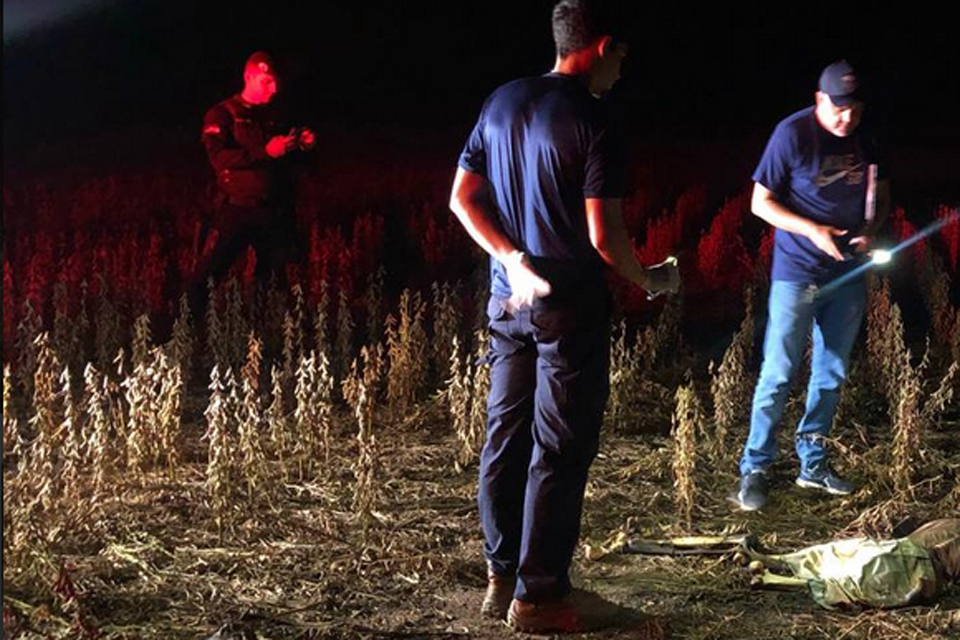 Cadáver é encontrado em lavoura de soja no Anel Viário em Porto Velho