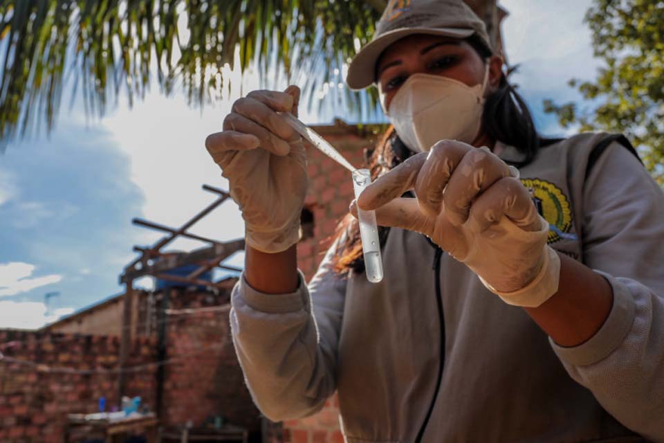 Levantamento vai identificar bairros com maior incidência de Aedes Aegypti em Porto Velho