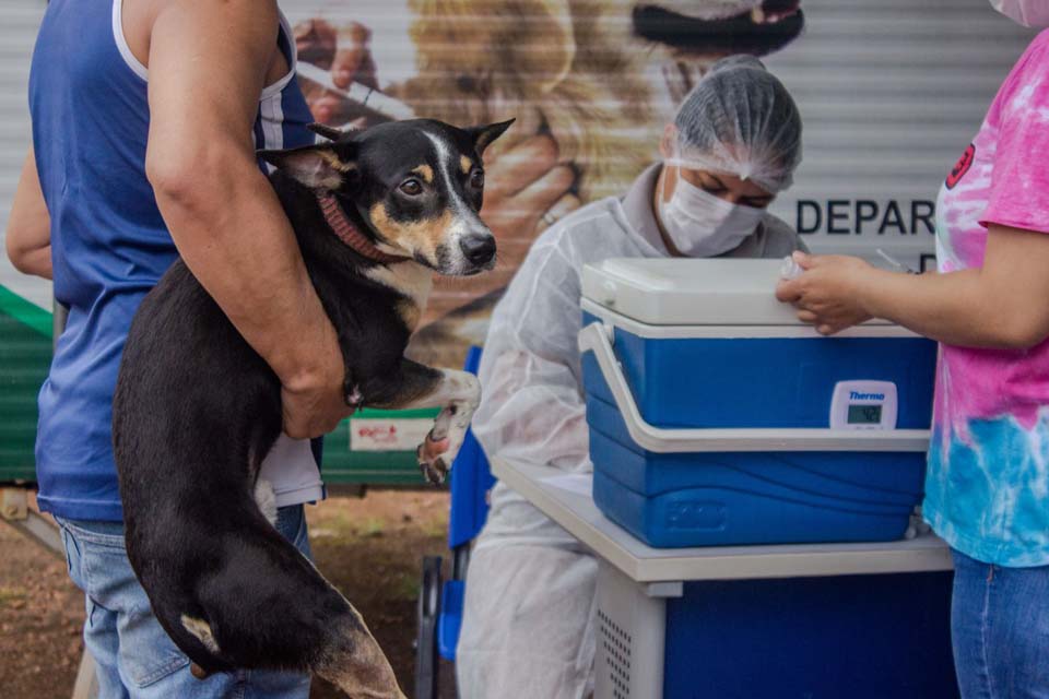 Mais de 800 animais já foram vacinados contra a raiva no Parque Circuito em Porto Velho