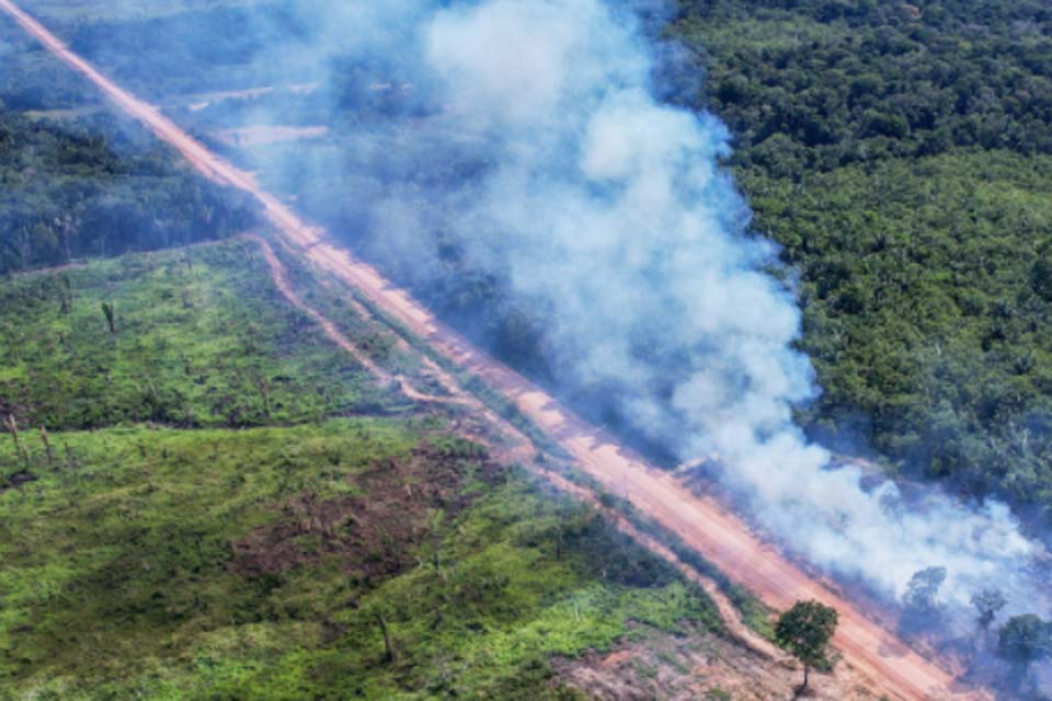 Site especializado em jornalismo ambiental destaca desmatamento ao longo da rodovia que liga Amazonas a Rondônia