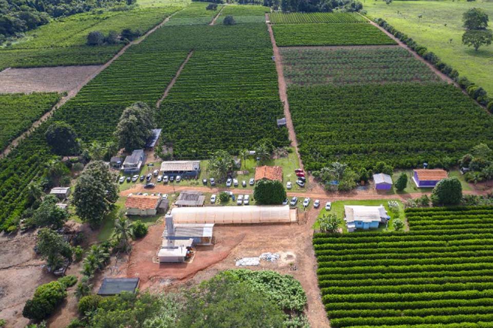 Crescimento da cafeicultura em Rondônia impulsiona visitas à Rota Turística do Café