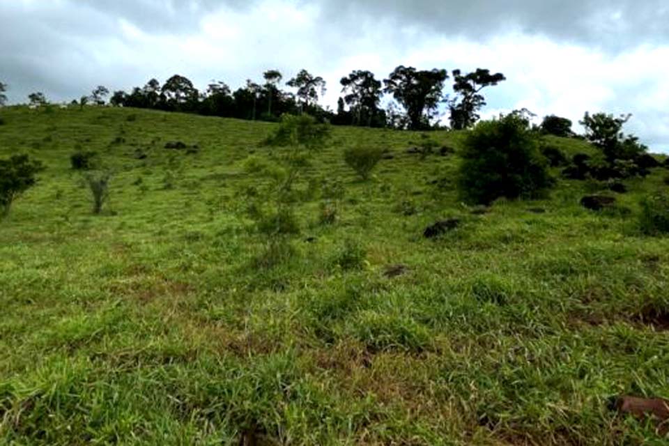 Licença Ambiental é emitida para mineração de ouro e cobre, em Novo Horizonte do Oeste