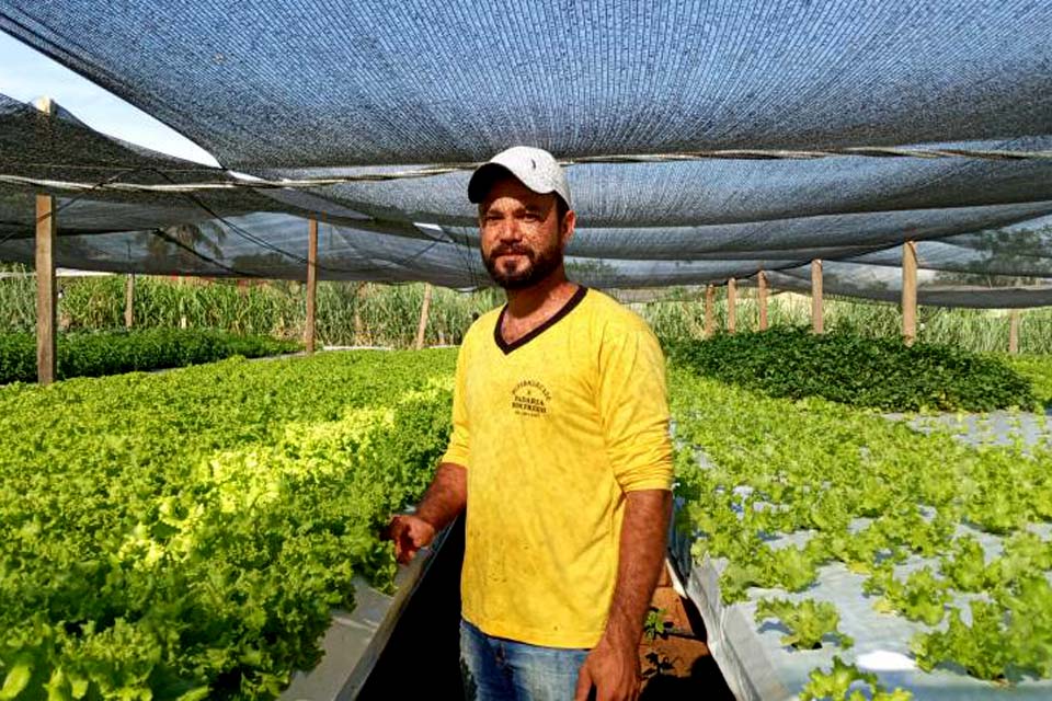 Empreendedores investem em horta hidropônica, que cultiva verduras em água, e abastecem supermercados