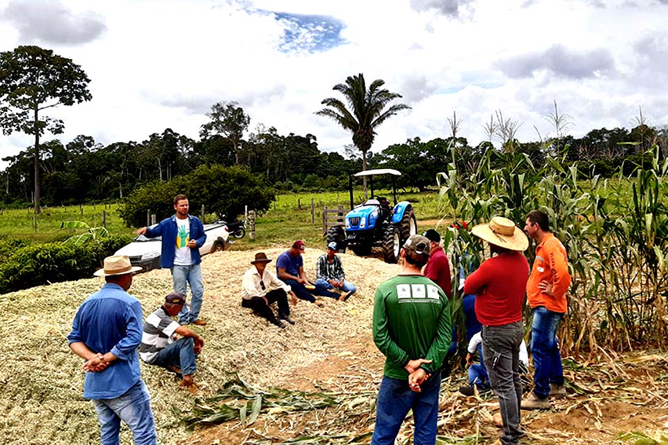 Demonstração de métodos incentiva produção de silagem para alimentação do rebanho no período da seca