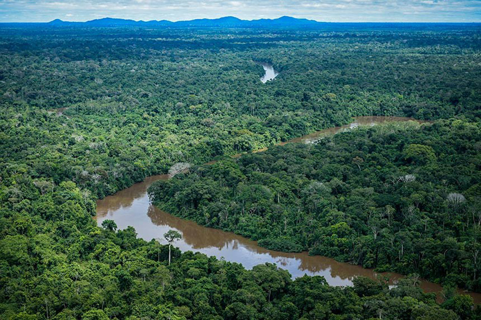 Medida provisória estimula mercado de créditos de carbono na gestão de florestas 