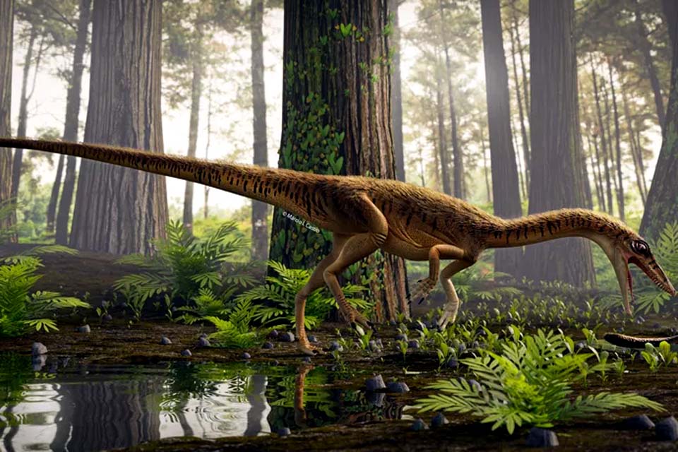 Novo antepassado do tiranossauro rex é descoberto no Brasil