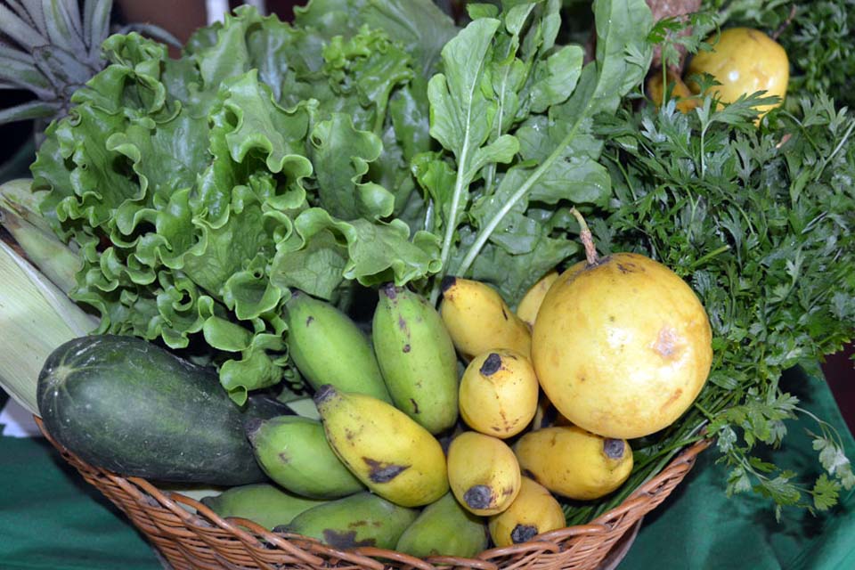 Divulgado o resultado da chamada pública para compra de alimentos da agricultura familiar