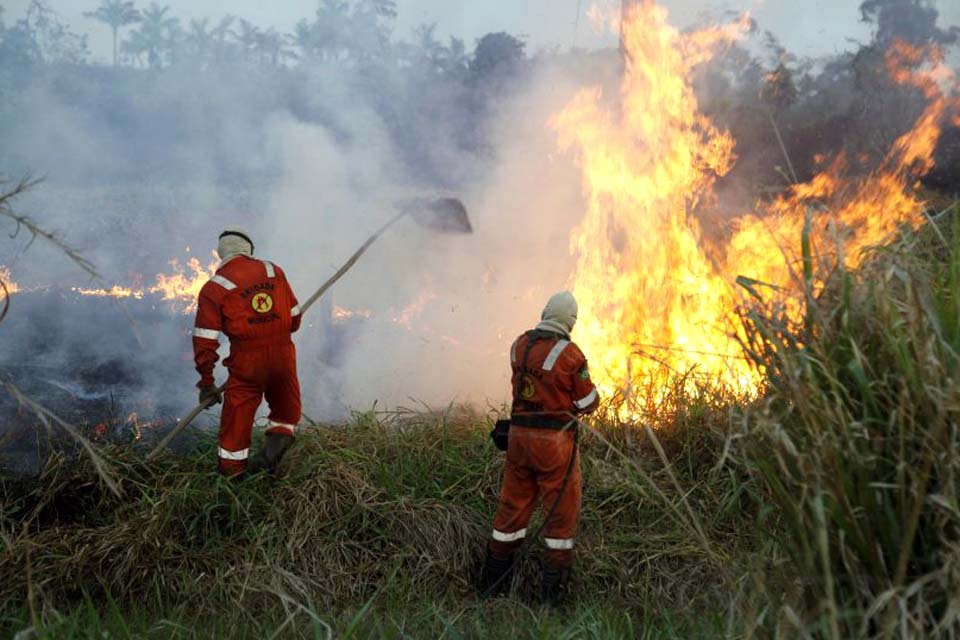Mesmo com chuvas regulares, Sedam antecipa prevenção a crimes de desmatamento e queimadas ilegais em Rondônia