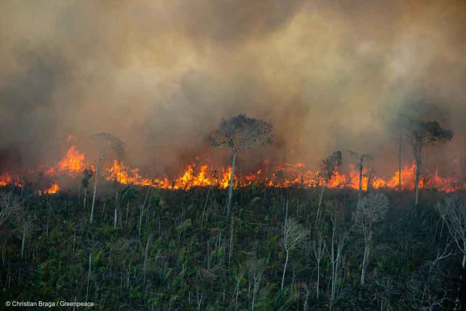 Rondônia registra maior número de queimadas em quase uma década e meia, aponta Inpe