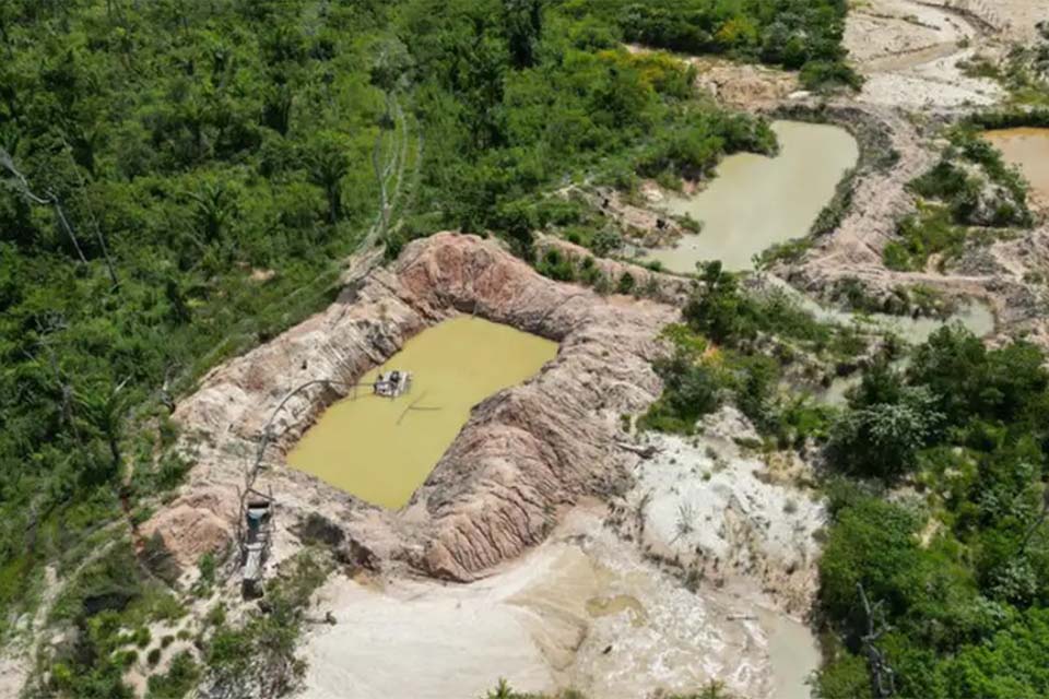 Terra Indígena Kayapó tem mais de 17% de área tomada pelo fogo