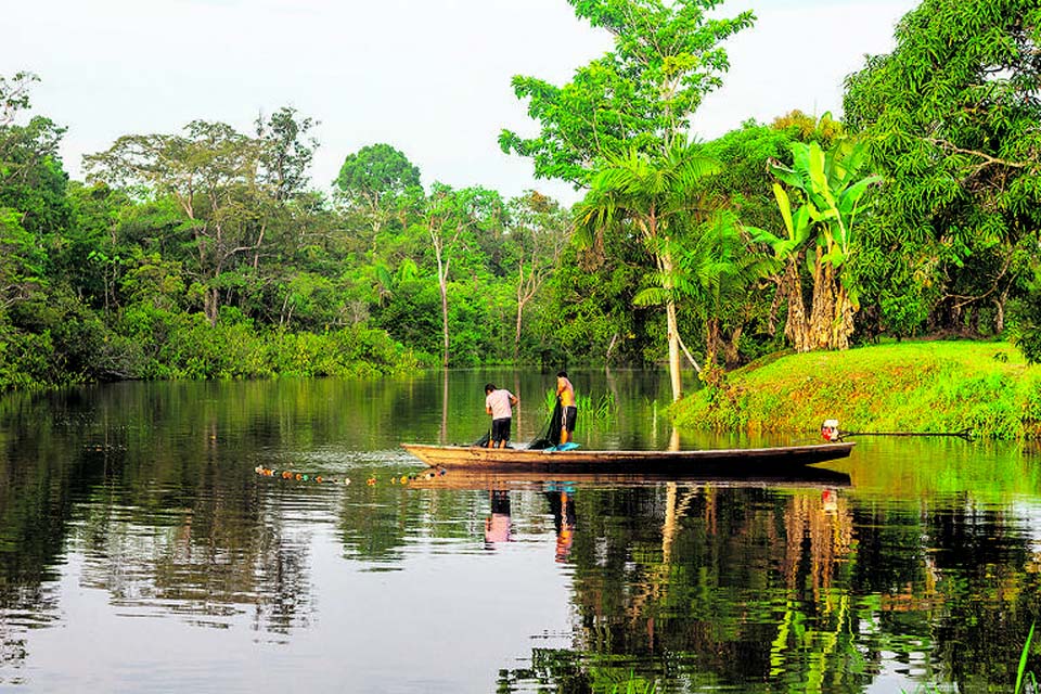 Recursos do Fundo Amazônia serão destinados à preservação do bioma