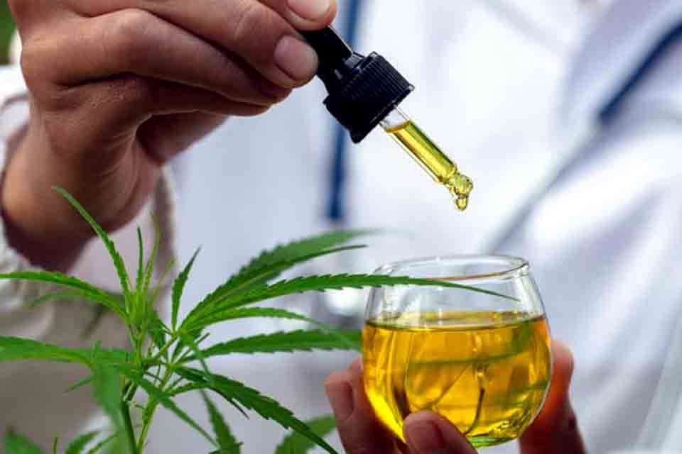  Anvisa aprova três produtos a base de cannabis