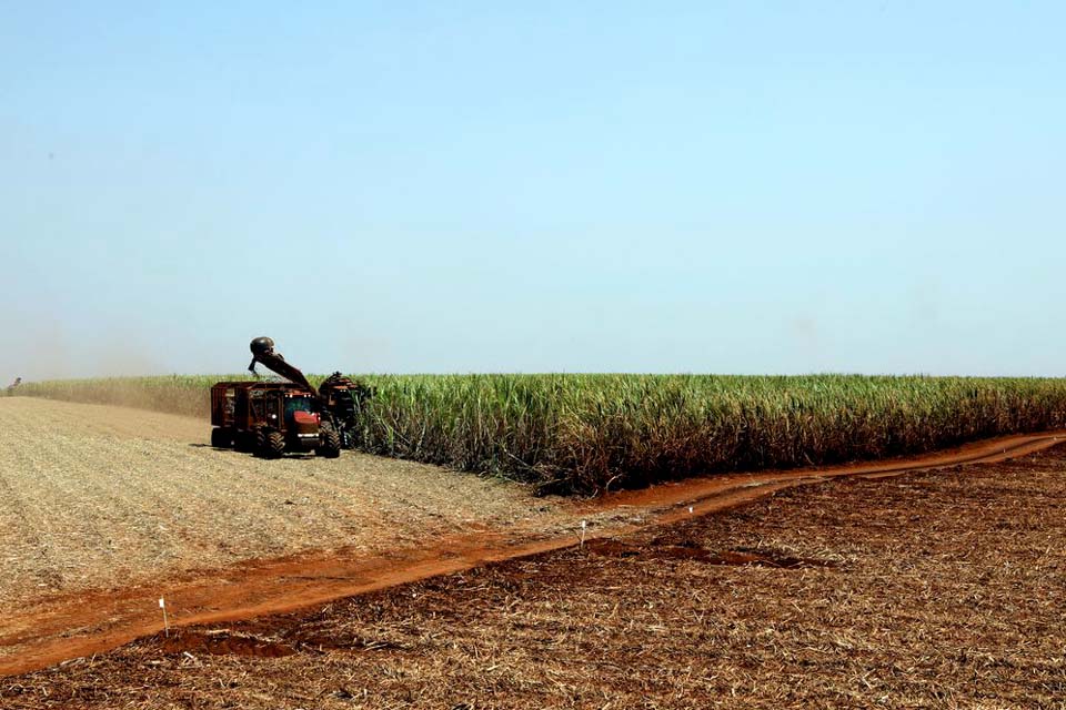 Produtores rurais se preparam para diminuir riscos