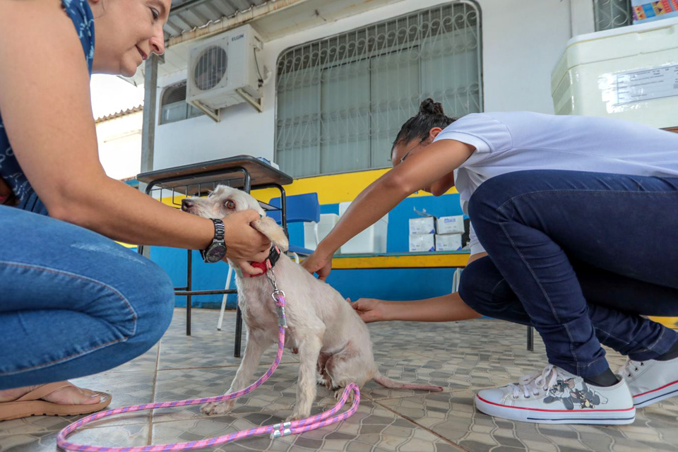  Mais de 48 mil cães e gatos foram imunizados em Porto Velho no ano de 2022