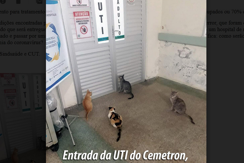 SINDSÁUDE realiza inspeção no Cemetron por solicitação do MPT e constata estado de abandono