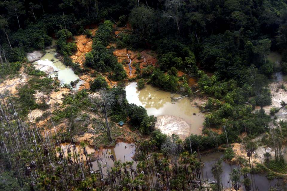 Voos clandestinos em terra yanomami caem 90% após operação especial