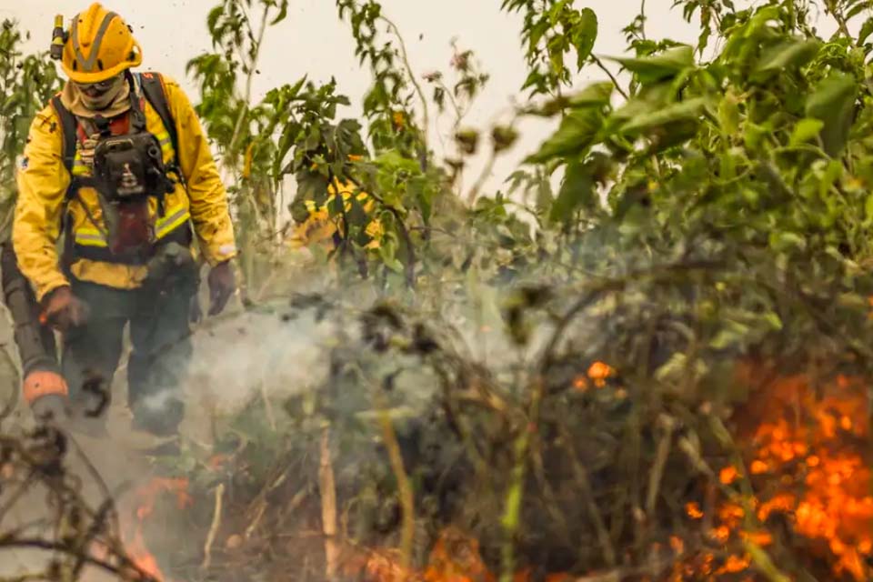 Governo de Rondônia autoriza contratação de brigadistas temporários para intensificar combate a incêndios florestais