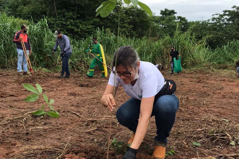 Parceria da MFM e SEMMA realiza a recuperação de mais uma Área de Preservação Permanente