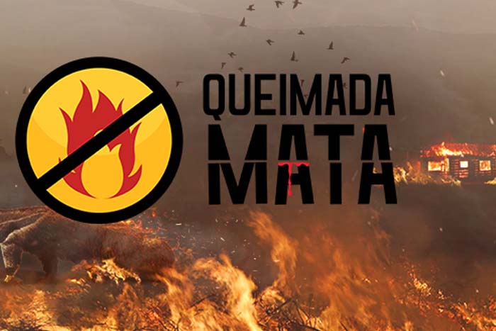 Queimada Mata!