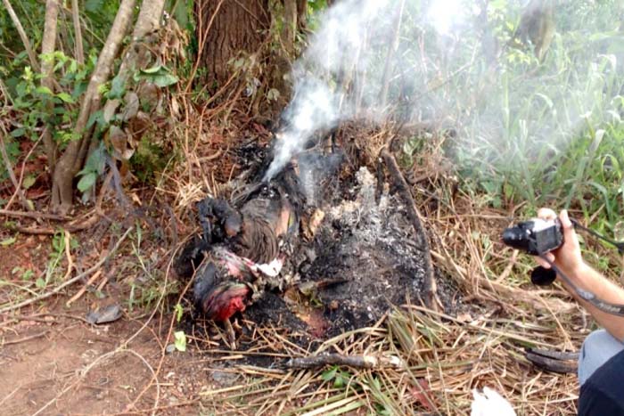 Pescadores encontram corpo humano em chamas na beira do Rio Machado