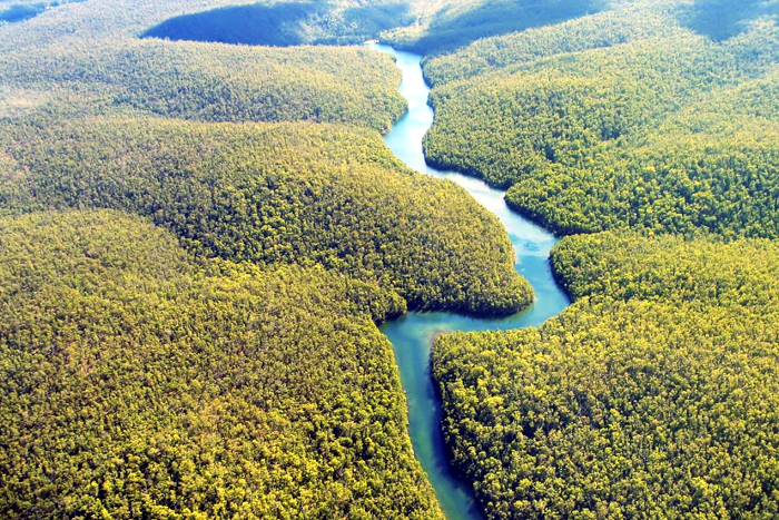 Leo, guerreiro amazônico