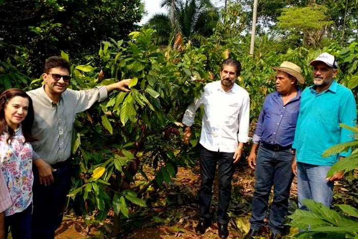 Projeto sobre expansão do Cacau Clonal e mutirão de saúde da família em Buritis