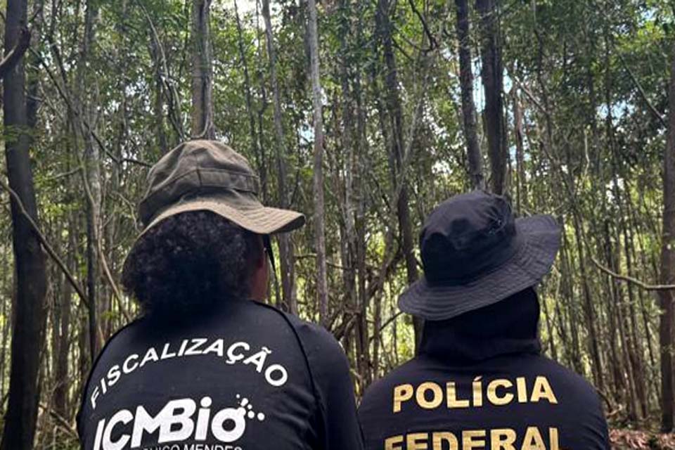  PF deflagra operação no Parque Nacional Serra da Cutia em Rondônia