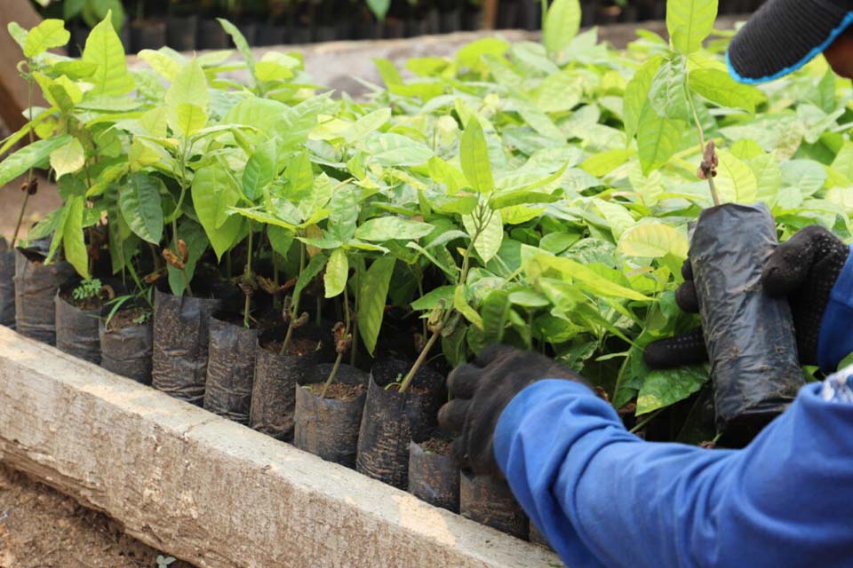 Pela segunda vez consecutiva, Rondônia atinge o topo Nacional em número de internos em atividades laborais