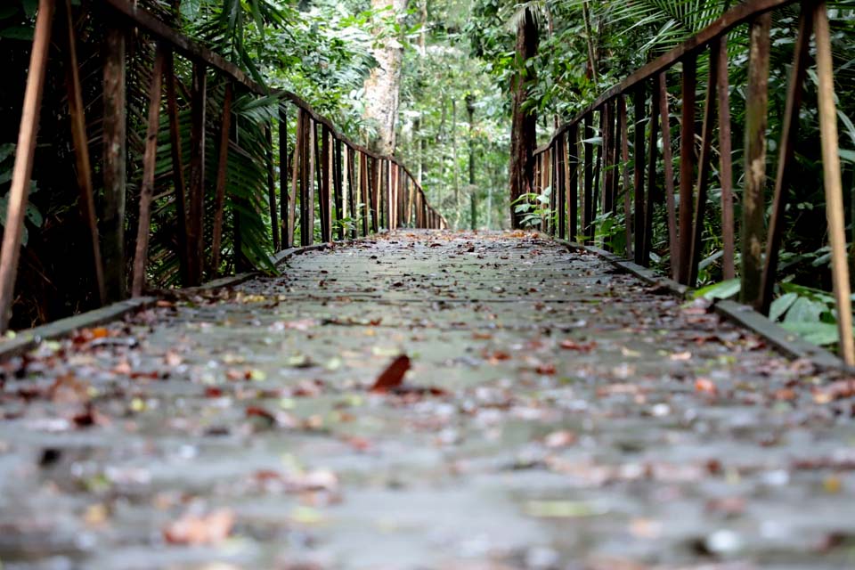 Parque Natural estará fechado na próxima sexta-feira (7)