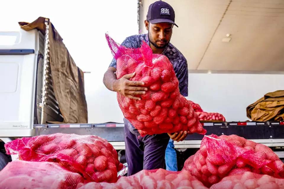 Conab aponta queda de preço da batata e alta da cebola e tomate