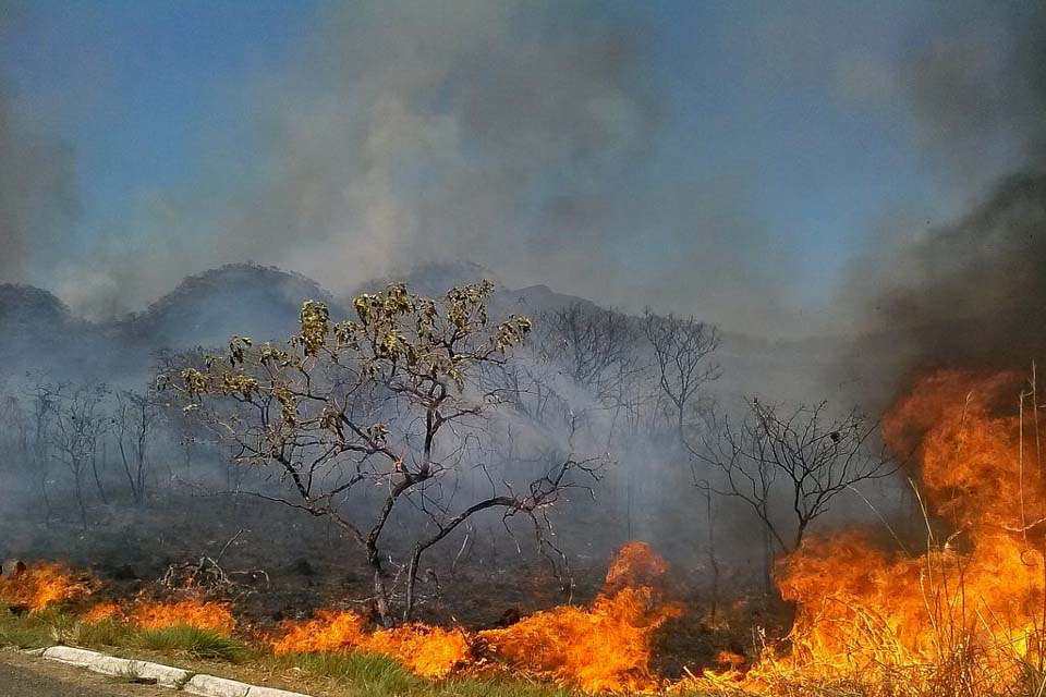 Focos de calor no Tocantins seguem padrão do clima, diz Defesa Civil